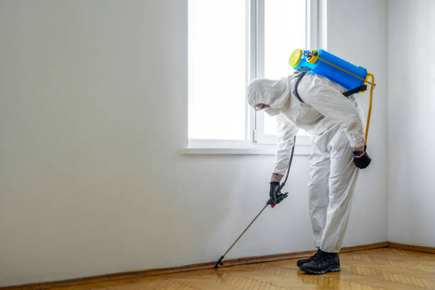 Best Real Estate Pest Inspections  in Columbia, CA